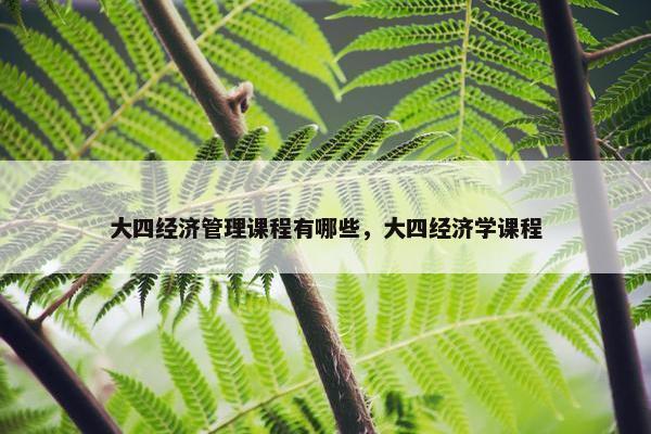 大四经济管理课程有哪些，大四经济学课程