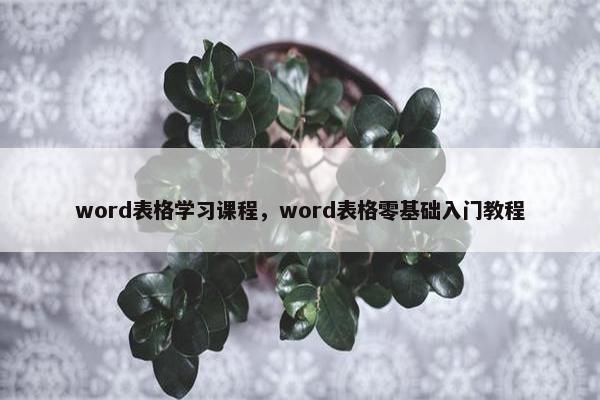 word表格学习课程，word表格零基础入门教程