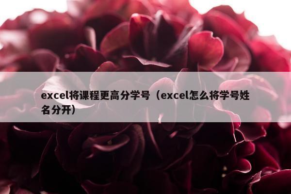 excel将课程更高分学号（excel怎么将学号姓名分开）
