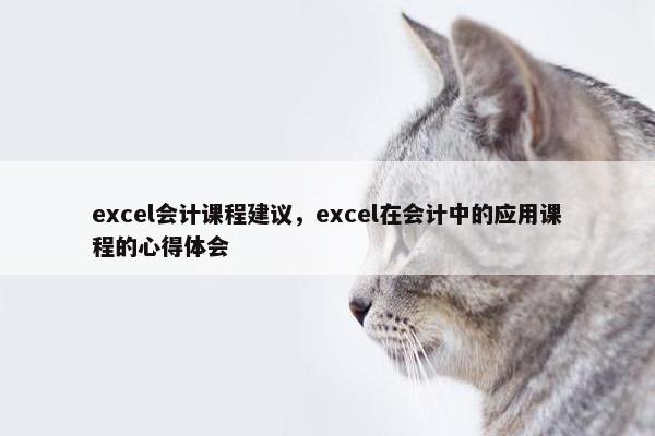 excel会计课程建议，excel在会计中的应用课程的心得体会