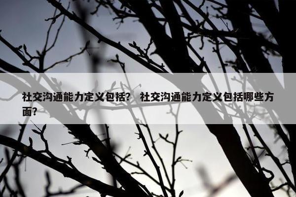 社交沟通能力定义包括？ 社交沟通能力定义包括哪些方面？