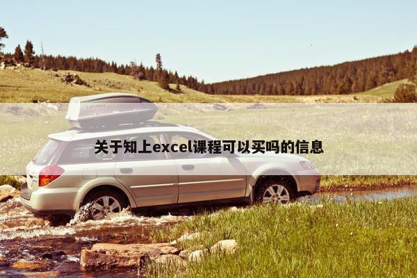 关于知上excel课程可以买吗的信息