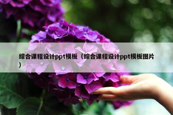 综合课程设计ppt模板（综合课程设计ppt模板图片）