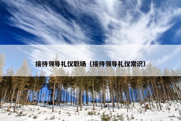 接待领导礼仪职场（接待领导礼仪常识）