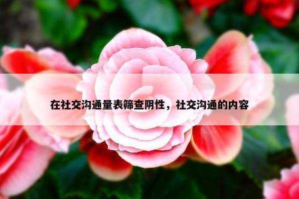 在社交沟通量表筛查阴性，社交沟通的内容