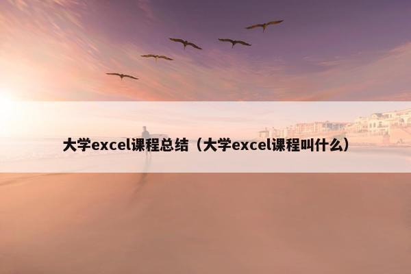 大学excel课程总结（大学excel课程叫什么）
