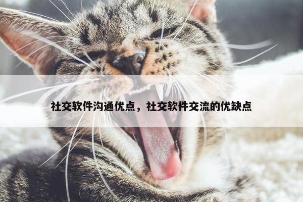 社交软件沟通优点，社交软件交流的优缺点