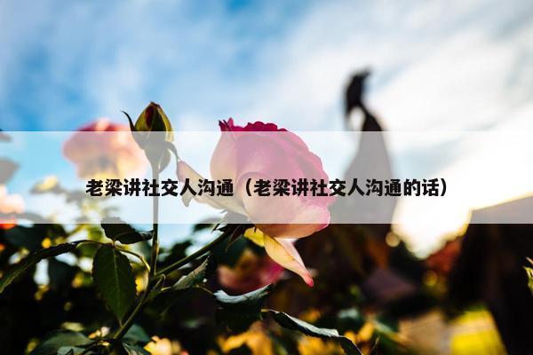 老梁讲社交人沟通（老梁讲社交人沟通的话）