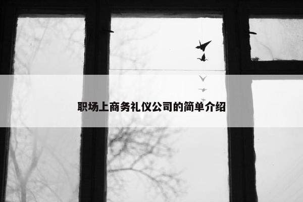 职场上商务礼仪公司的简单介绍