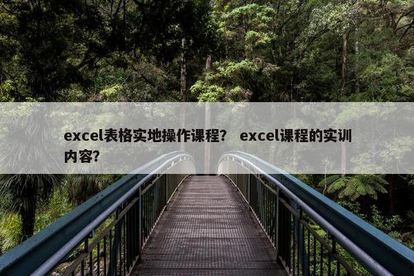excel表格实地操作课程？ excel课程的实训内容？