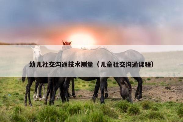 幼儿社交沟通技术测量（儿童社交沟通课程）