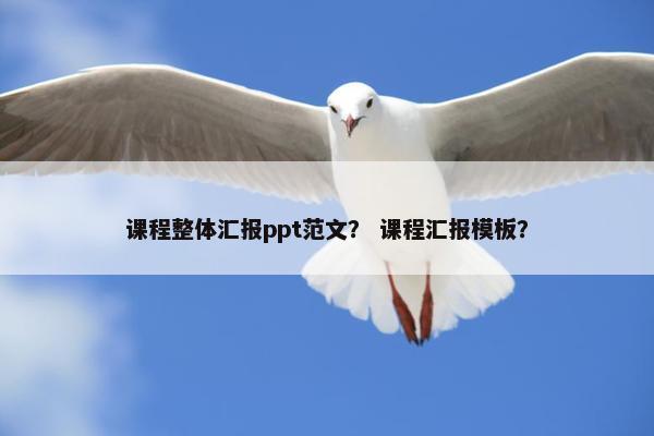 课程整体汇报ppt范文？ 课程汇报模板？