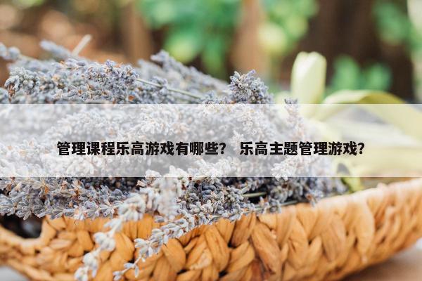管理课程乐高游戏有哪些？ 乐高主题管理游戏？