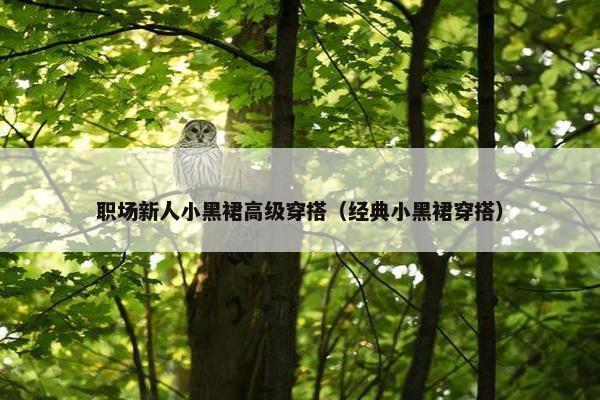 职场新人小黑裙高级穿搭（经典小黑裙穿搭）