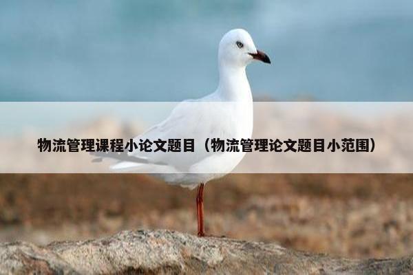 物流管理课程小论文题目（物流管理论文题目小范围）