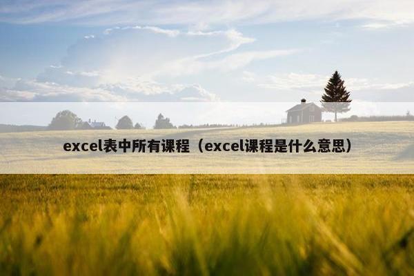 excel表中所有课程（excel课程是什么意思）