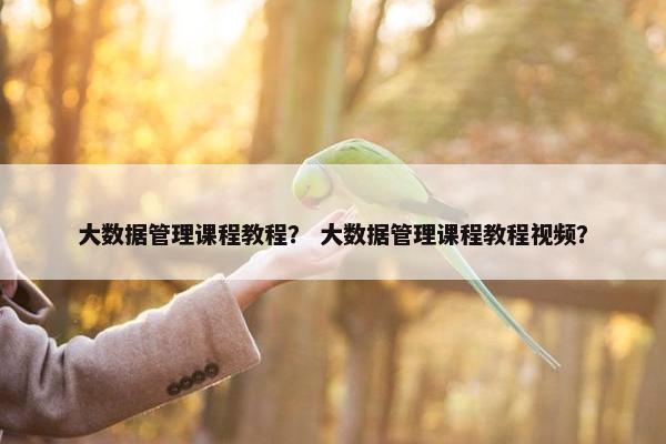 大数据管理课程教程？ 大数据管理课程教程视频？