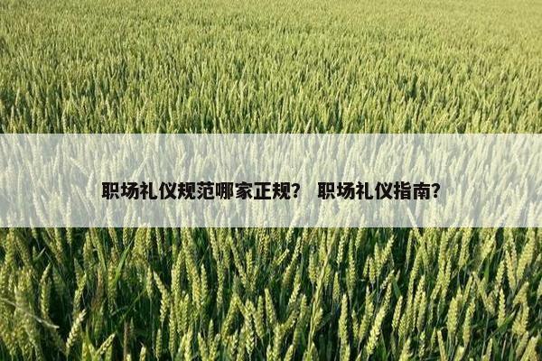 职场礼仪规范哪家正规？ 职场礼仪指南？
