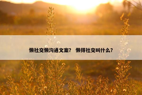 懒社交懒沟通文案？ 懒得社交叫什么？
