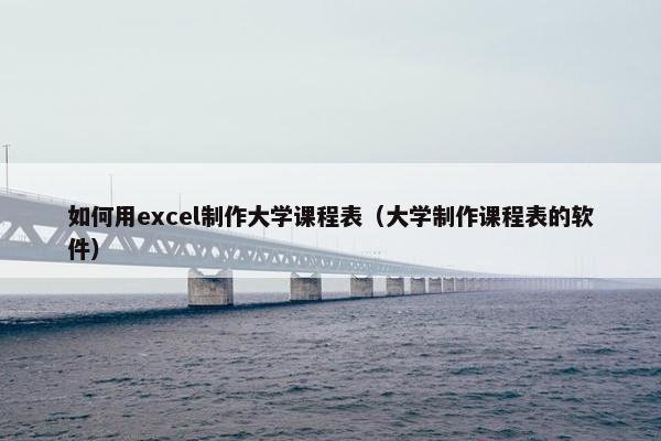 如何用excel制作大学课程表（大学制作课程表的软件）