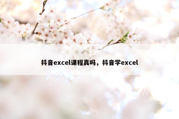 抖音excel课程真吗，抖音学excel