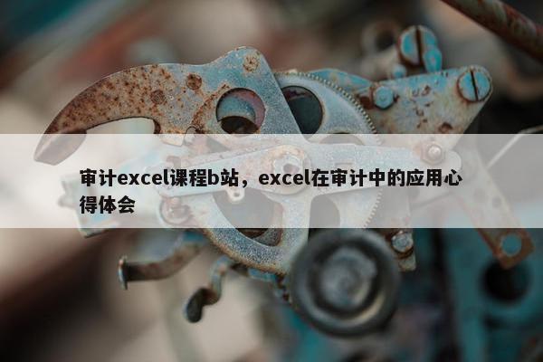 审计excel课程b站，excel在审计中的应用心得体会