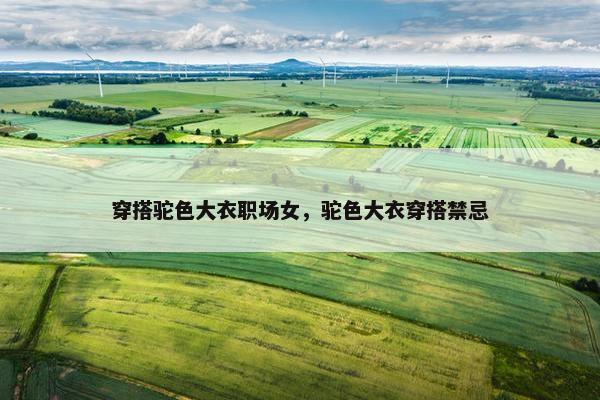 穿搭驼色大衣职场女，驼色大衣穿搭禁忌