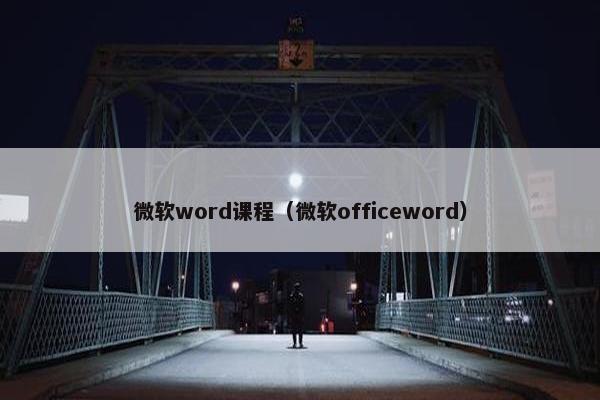 微软word课程（微软officeword）