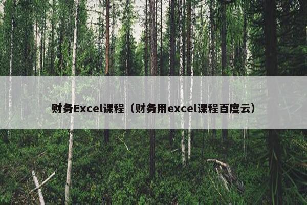 财务Excel课程（财务用excel课程百度云）