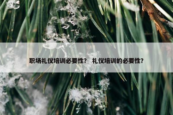 职场礼仪培训必要性？ 礼仪培训的必要性？