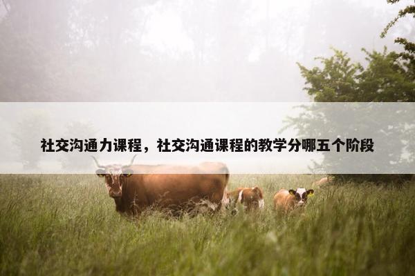 社交沟通力课程，社交沟通课程的教学分哪五个阶段