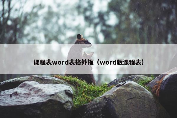 课程表word表格外框（word版课程表）
