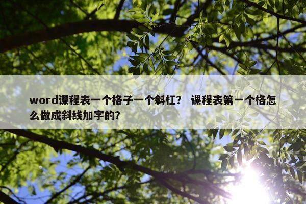 word课程表一个格子一个斜杠？ 课程表第一个格怎么做成斜线加字的？