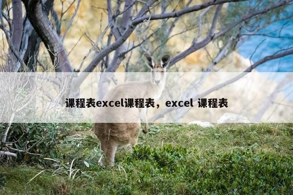 课程表excel课程表，excel 课程表