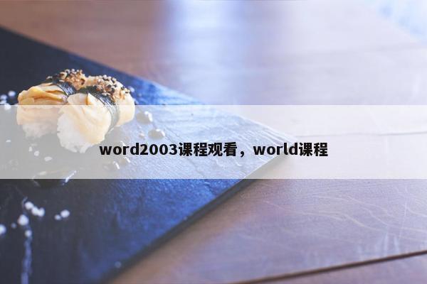 word2003课程观看，world课程