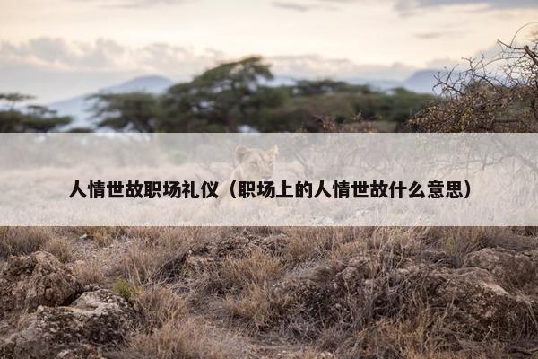 人情世故职场礼仪（职场上的人情世故什么意思）