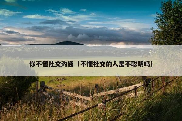 你不懂社交沟通（不懂社交的人是不聪明吗）