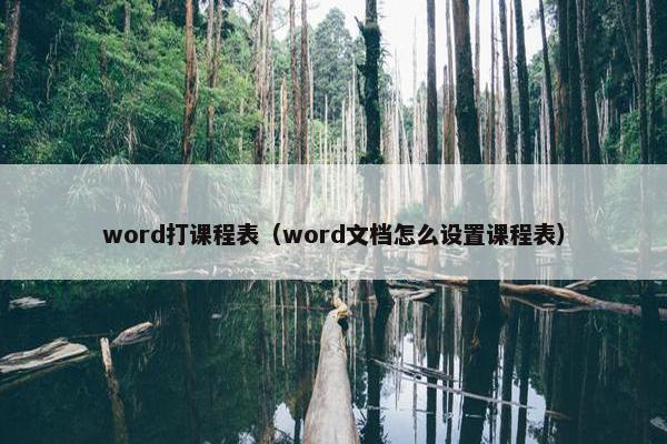 word打课程表（word文档怎么设置课程表）