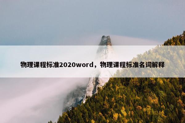 物理课程标准2020word，物理课程标准名词解释