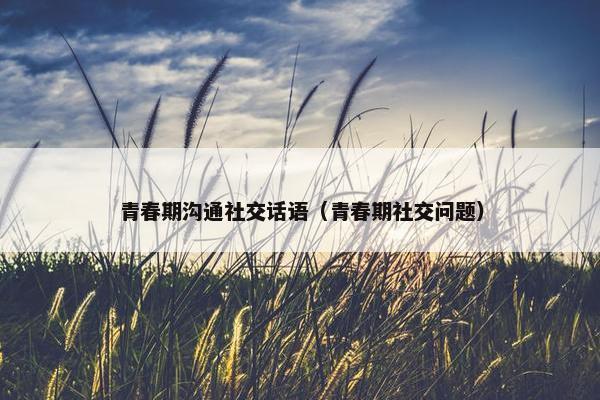 青春期沟通社交话语（青春期社交问题）