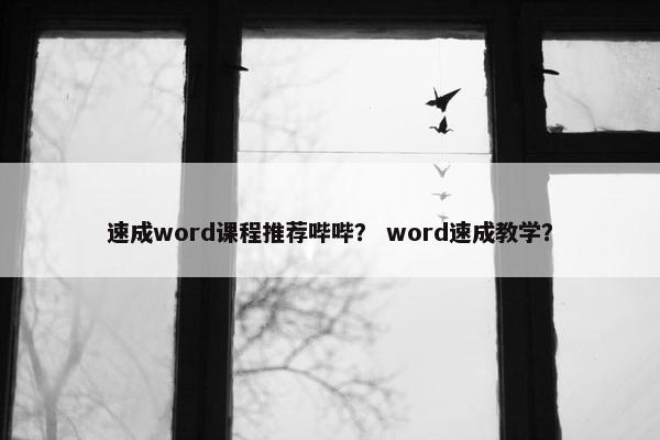 速成word课程推荐哔哔？ word速成教学？
