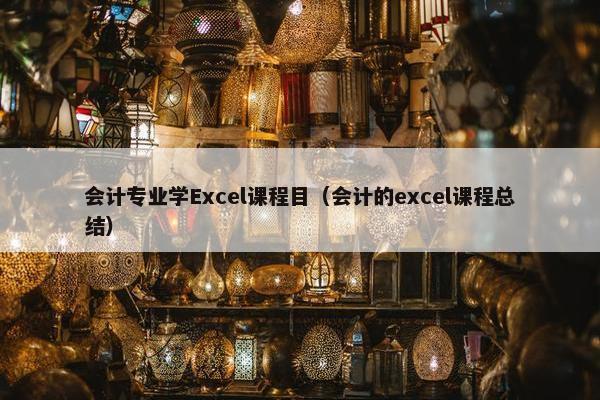 会计专业学Excel课程目（会计的excel课程总结）