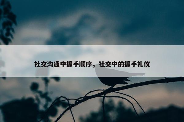 社交沟通中握手顺序，社交中的握手礼仪