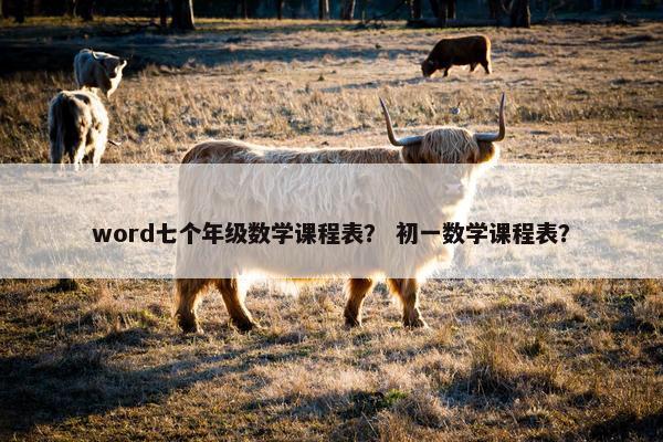 word七个年级数学课程表？ 初一数学课程表？
