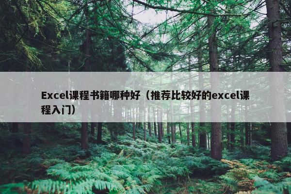 Excel课程书籍哪种好（推荐比较好的excel课程入门）