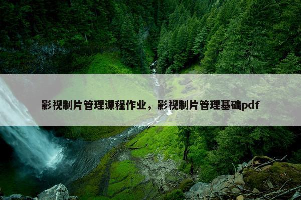 影视制片管理课程作业，影视制片管理基础pdf