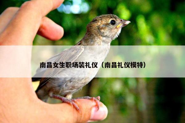 南昌女生职场装礼仪（南昌礼仪模特）