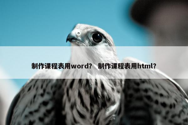 制作课程表用word？ 制作课程表用html？