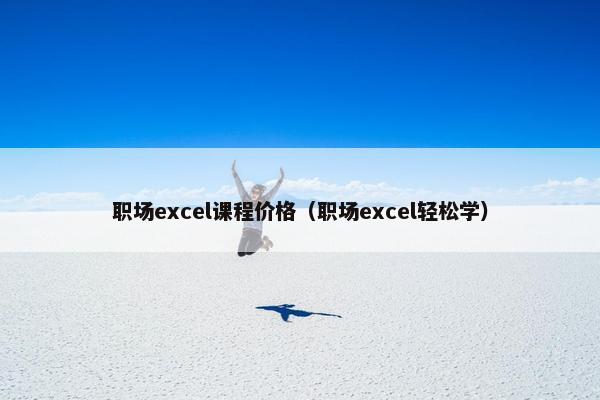 职场excel课程价格（职场excel轻松学）