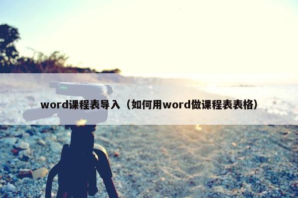 word课程表导入（如何用word做课程表表格）